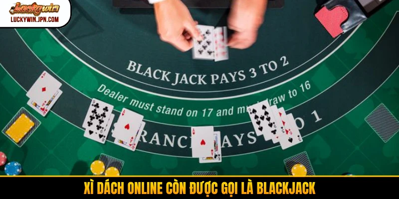 Xì dách online còn được gọi là blackjack